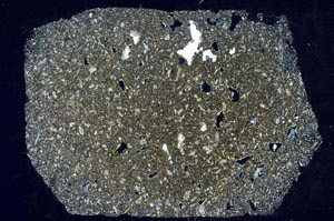 Cross Polarized, S56273/A