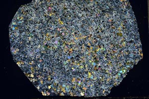 Cross Polarized, S56274