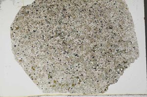 Plane Polarized, S56274