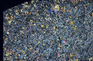 Cross Polarized, S56274/A