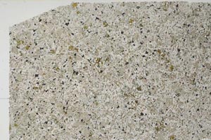 Plane Polarized, S56274/A