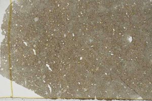 Plane Polarized, S56278