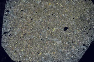 Cross Polarized, S56278/A