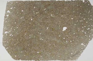 Plane Polarized, S56278/A