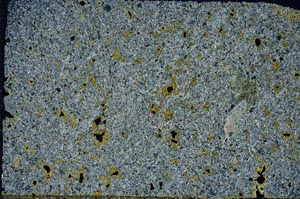 Cross Polarized, S56279