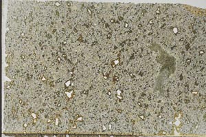 Plane Polarized, S56279