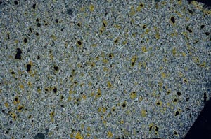 Cross Polarized, S56279/A