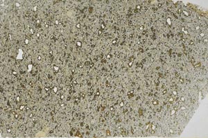 Plane Polarized, S56279/A