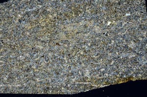 Cross Polarized, S56294