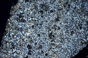 Cross Polarized, S56322