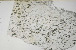 Plane Polarized, S56326