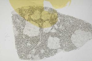 Plane Polarized, S56337