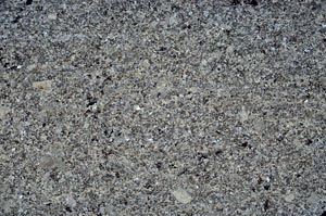 Cross Polarized, S56355