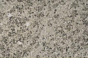 Plane Polarized, S56365