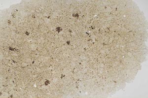 Plane Polarized, S56366