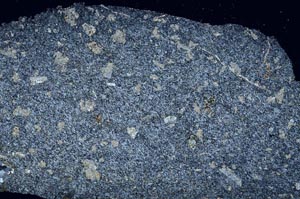 Cross Polarized, S56378