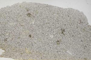 Plane Polarized, S56378