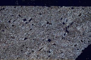 Cross Polarized, S56379