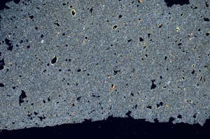 Cross Polarized, S56380