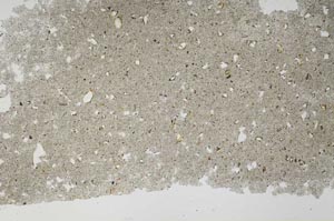 Plane Polarized, S56380