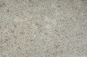 Plane Polarized, S56381