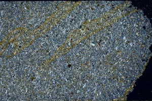 Cross Polarized, S56382