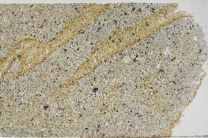 Plane Polarized, S56382