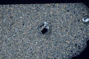 Cross Polarized, S56383