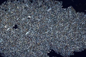 Cross Polarized, S56384