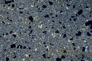 Cross Polarized, S56386