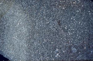 Cross Polarized, S56387