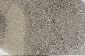 Plane Polarized, S56387