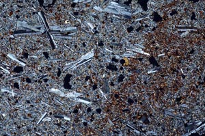 Cross Polarized, S56388