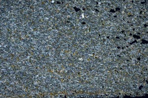 Cross Polarized, S56389