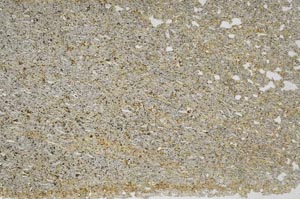 Plane Polarized, S56389