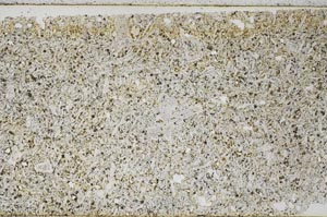 Plane Polarized, S56391