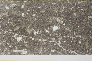Plane Polarized, S56393