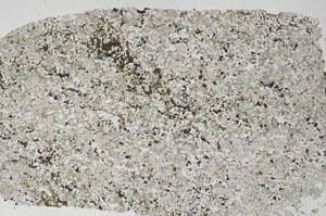 Plane Polarized, S56406