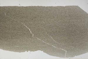Plane Polarized, S56417