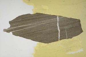 Plane Polarized, S56419