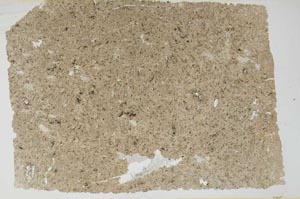 Plane Polarized, S56495