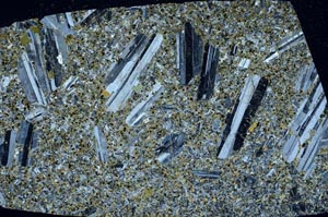 Cross Polarized, S56504