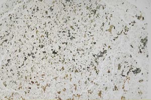 Plane Polarized, S56507