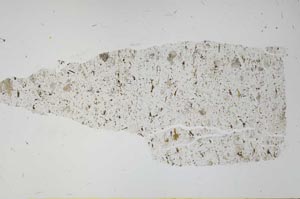 Plane Polarized, S56508