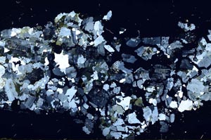 Cross Polarized, S56516