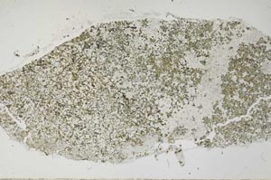 Plane Polarized, S56554