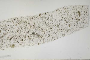 Plane Polarized, S56556