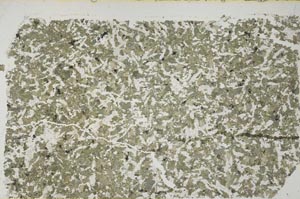 Plane Polarized, S56561