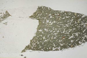 Plane Polarized, S56562