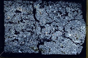 Cross Polarized, S56563